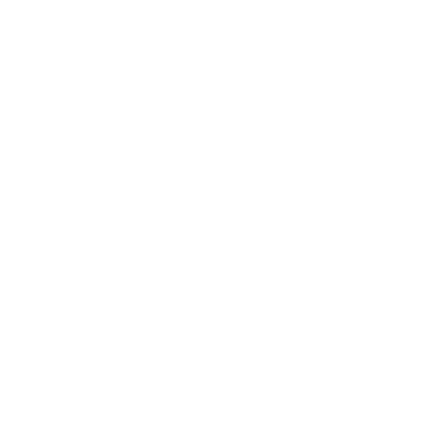 Step 3 – Website Launch